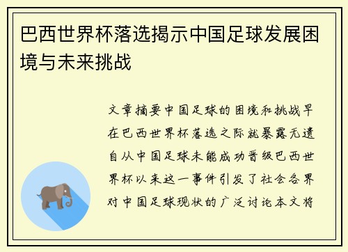 巴西世界杯落选揭示中国足球发展困境与未来挑战
